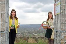 Silvaner liebt Spargel: Fränkische Weinkönigin und Fränkische Spargelkönigin geben Tipps zur Spargelzeit