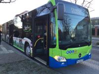 regiobus Potsdam Mittelmark führt neue PlusBus-Linien ein