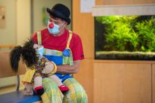 Dodo bringt die Kinder wieder zum Lachen