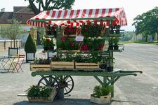 Gartentage auf Schloss Hof (17. - 20. Mai 2012)