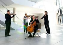 Klingendes Miteinander: Deutscher Musikrat begrüßt den Verband der Streichquartette und weiterer Kammermusik-Ensembles VdSQ e.V. als neues Mitglied