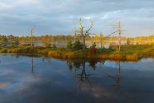 Naturerlebnis Estland