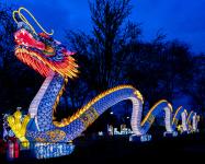 Diesen Mittwoch: Offenbach-Klänge beim China Light-Festival im Kölner Zoo