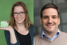 Zwei neue Professoren erkunden Signalwege und -proteine