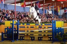 Best atmosphere and outstanding jumping and dressage sires at Sosath's stallion show