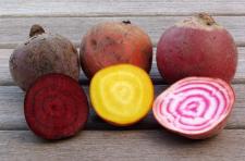 Rote Bete - bunt und gesund
