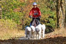 2. Indian Summer Race Oberharz am 19. und 20. Oktober 2019 am Alten Bahnhof in Clausthal-Zellerfeld