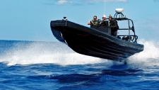 RIB Tours: Todesgefahr für Ostsee-Schweinswale