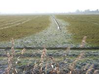Düngung: Sperrfrist endet am 31. Januar