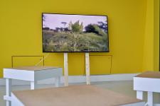 Vom Gewächshaus in die Ausstellung