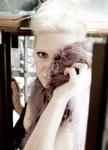 Velve: "Novelettes of Love"