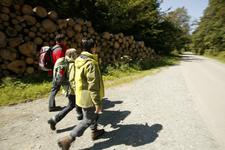 Die schönsten Seiten der Region: Wanderfestival ist Höhepunkt der Saison