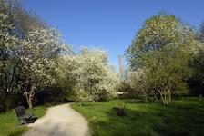 Der Willy-Spahn-Park feiert Geburtstag