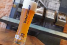 Bayerische Staatsbrauerei Weihenstephan bestätigt aktuellen Trend zu alkoholfreiem Bier