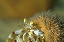 Mensch und Meer - Das UNESCO Weltnaturerbe Wattenmeer in der künstlerischen Wahrnehmung