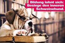 450 neue Kurse und Lehrgänge für den beruflichen Erfolg
