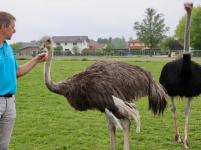 Bad Füssing: Europas beliebtester Kurort - auch ein besonderes Paradies für Tierliebhaber