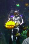 HALLOWEEN unter Wasser!