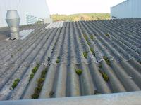 Asbesthaltige Baustoffe dürfen nicht bearbeitet werden: Selbst das Abkehren dieser Dachfläche ist verboten / Fotos: Krawczyk/HF.Redaktion