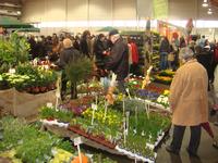 DiGA Die Gartenmesse