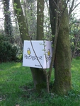 Ein Nest voller bunter Biere