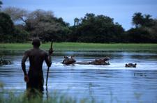 Salzwasser Hippos auf den Bijagos-Inseln