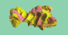 ALLES KNETEN. Metamorphose eines Materials