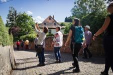 Stadt- und Gästeführungen an der Südlichen Weinstraße