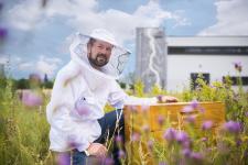 Stadtwerke legen drei Bienenweiden an