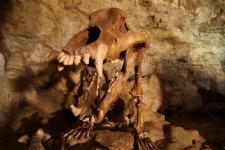 Abenteuer Unterwelt