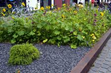 Ein Stück Stadtgärten für zuhause - Abschied von drei Monaten "Garten pur!"