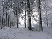 Geführte Winterwunder-Wanderung des Felsenmeer Informationszentrums zu den Highlights von Felsberg und Felsenmeer