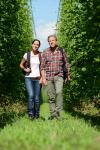 Start der Hopfen-Ernte: Bayerns "grünes Gold" ist ein Touristen-Renner