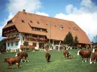 In den Herbstferien auf den Bauernhof