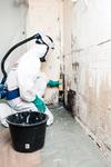 Experten: Schimmelpilz ist nichts für Heimwerker