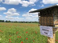 Blühstreifen und Bienenhotel - ein Wellnesspaket für Insekte