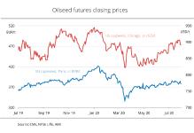 Forward prices for rapeseed and soybeans stand up to corona crisis