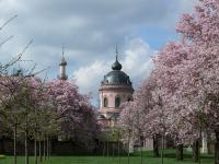 Schloss und Schlossgarten Schwetzingen: Kommt bald schon der Traum in Rosa?