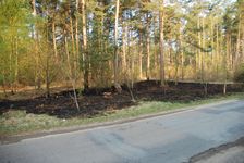 Waldbrand im Müritz-Nationalpark