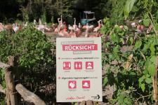Tierische Freude: Erlebnis-Zoo Hannover öffnet in Kürze wieder - mit Schutzkonzept
