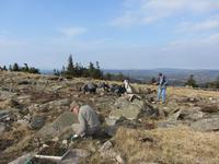 Biotoppflege auf dem Brocken - ehrenamtliche Naturschutzhelfer beim Arbeitseinsatz