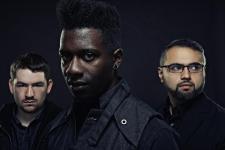 Animals as leaders