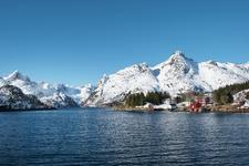 Winter-Matjes: der beste Hering aus Norwegen