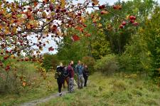 Commerzbank-Umweltpraktikum im Nationalpark Hainich