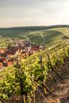 Jahrgang 2016 in Franken