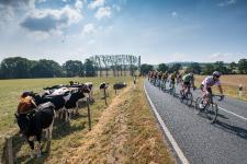 Ultimatives Sommerangebot für Fans: Mit Ex-Profis die Strecke der Deutschland Tour 2021 abfahren
