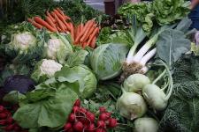 Winterzeit ist Superfood-Zeit