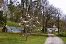 Geplante Natur