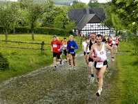 Laufen nach Lust und Laune beim Rothaarsteiglauf am 23. Mai