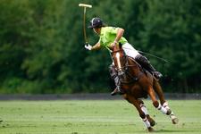 Polo, Party, Picknick!